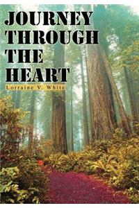 Journey Through the Heart