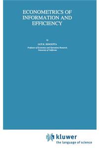Econometrics of Information and Efficiency