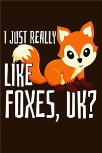 I Just Really Like Foxes OK?