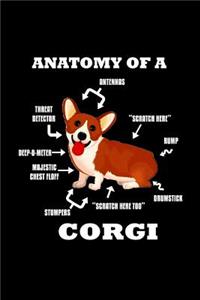 Anatomy of a Corgi