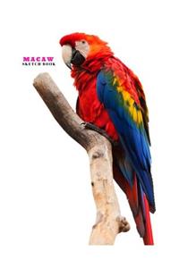 Macaw Sketch Book