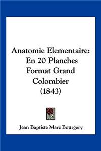 Anatomie Elementaire