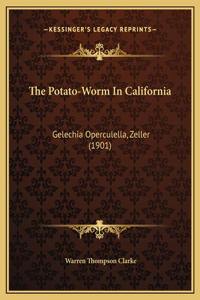The Potato-Worm In California