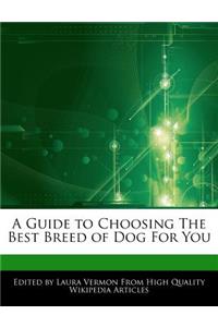 A Guide to Choosing the Best Breed of Dog for You