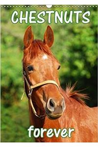 Chestnuts Forever 2018