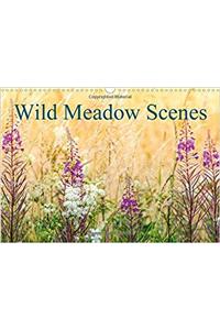 Wild Meadow Scenes 2018