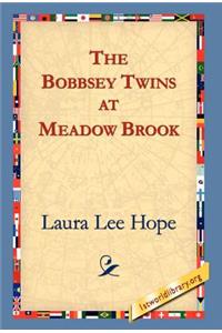 Bobbsey Twins at Meadow Brook