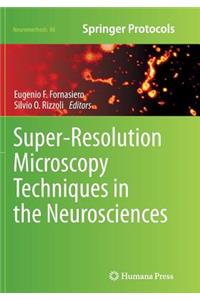 Super-Resolution Microscopy Techniques in the Neurosciences