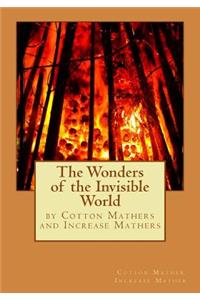 Wonders of the Invisible World