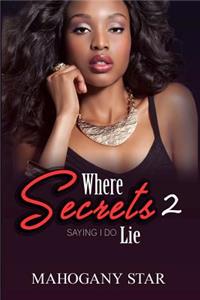 Where Secrets Lie Pt. 2