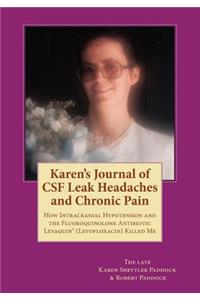 Karen's Journal of CSF Leak Headaches and Chronic Pain: How Intracranial Hypotension and Levaquin (Levofloxacin) Killed Me