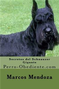 Secretos del Schnauzer Gigante