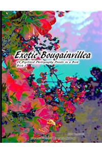 Exotic Bougainvillea 24 Digitized Photography Prints in a Book Book 1