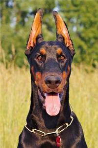 The Panting Doberman Dog Journal: 150 Page Lined Notebook/Diary