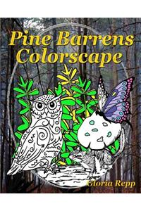 Pine Barrens Colorscape