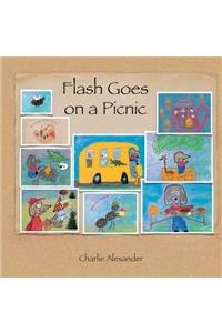 Flash Goes on a Picnic