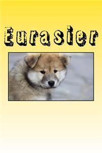 Eurasier
