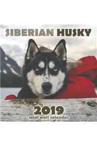 The Siberian Husky 2019 Mini Wall Calendar