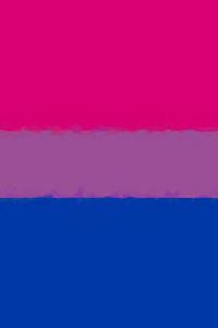 Bisexual Pride Flag Sketch Journal