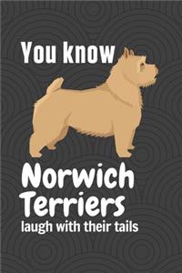 You know Norwich Terriers laugh with their tails (2)