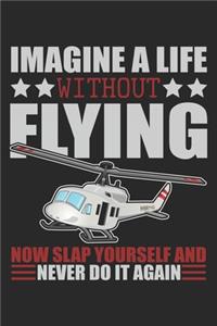 Imagine A Life Without Flying
