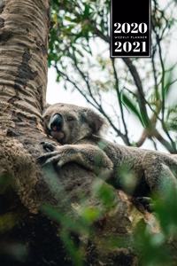 Koala Bear Rainforest Week Planner Weekly Organizer Calendar 2020 / 2021 - Midday Nap