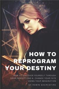 How to Reprogram Your Destiny