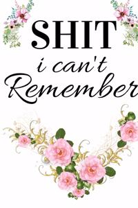 Shit I Can't Remember