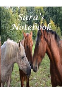 Sara's Notebook