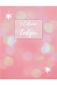 3 Column Ledger