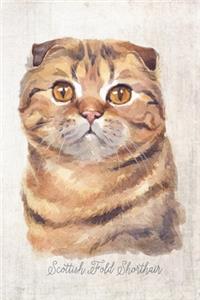 Scottish Fold Shorthair Cat Portrait Notebook
