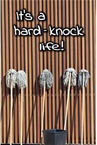 It's a Hard Knock Life