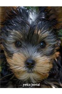 Yorkie Journal