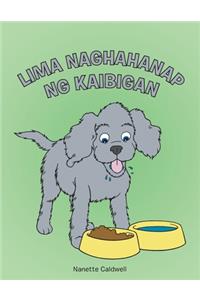 Lima Naghahanap Ng Kaibigan