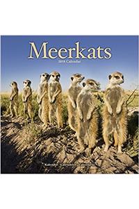 Meerkats Calendar 2018
