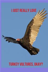 I Just Really Love Turkey Vultures, Okay?