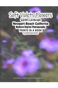 Soft Violets Flowers Garden Landscape Newport Beach California Modern Digital Photography PRINTS IN A BOOK by Artist Grace Divine