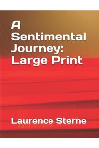A Sentimental Journey: Large Print