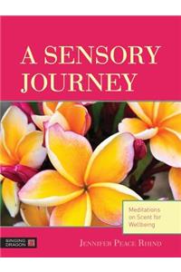 A Sensory Journey