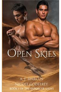 Open Skies