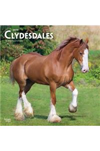Clydesdales 2019 Square Wall Calendar