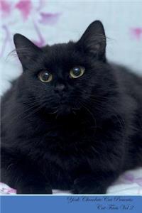 York Chocolate Cat Presents