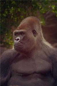 Grand Gorilla Portrait Notebook