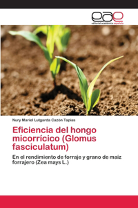 Eficiencia del hongo micorrícico (Glomus fasciculatum)