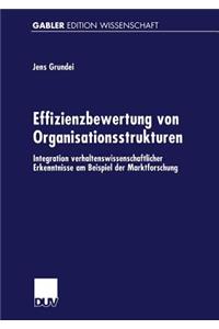 Effizienzbewertung von Organisationsstrukturen