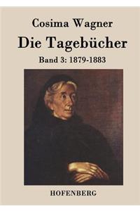 Tagebücher in drei Bänden: Band 3: 1879-1883