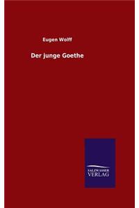 Der junge Goethe