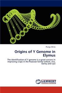 Origins of Y Genome in Elymus