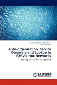 Auto-organization, Service Discovery and Lookup in P2P Ad Hoc Networks