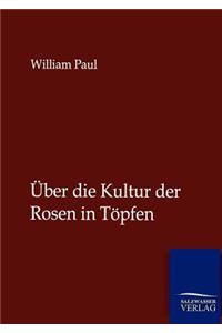 Über die Kultur der Rosen in Töpfen